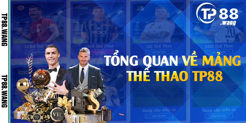 Tổng quan về mảng thể thao TP88